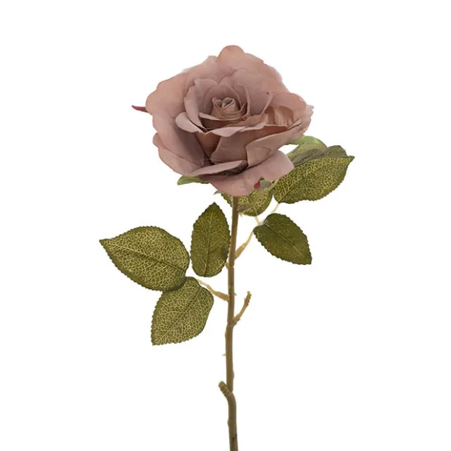 Event Velvet Rose Short Stem Sienna Brown (11cmDx35cmH)