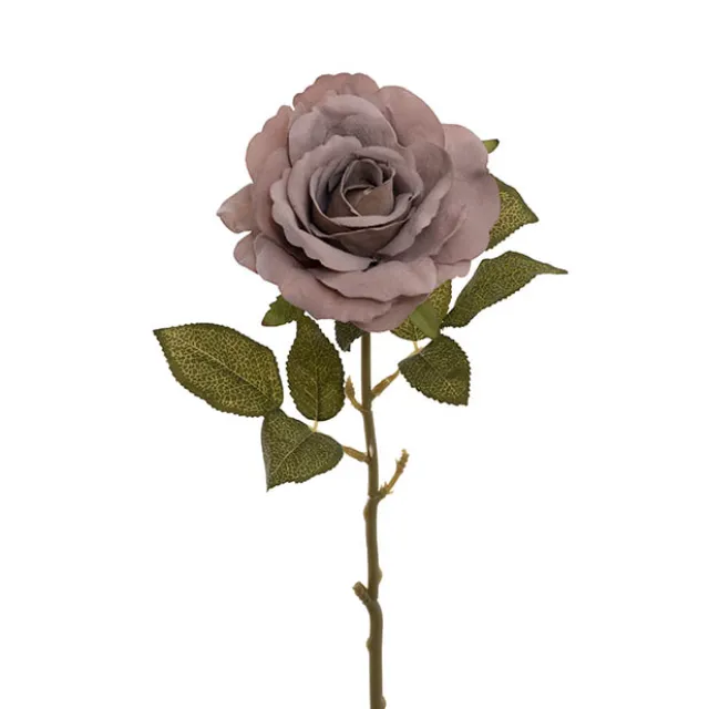 Event Velvet Rose Short Stem Dusty Purple (11cmDx35cmH)