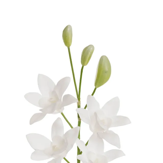 Real Touch Singapore Orchid x5 Flowers White (64cmH)