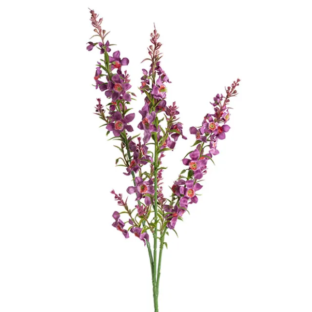 Catmint Spray Violet (75cmH)