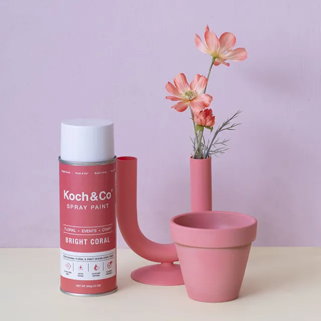 Floral Event Craft Spray Paint Bright Coral (340g)