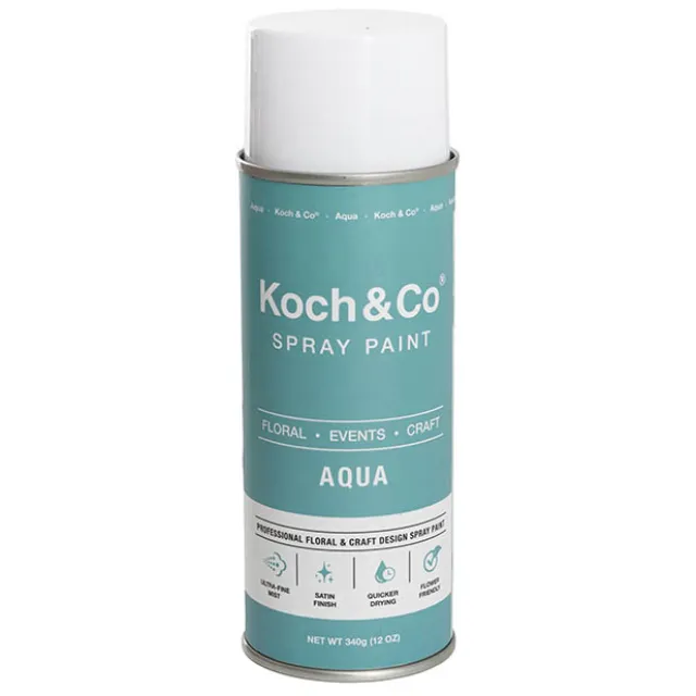 Floral Event Craft Spray Paint Aqua (340g)