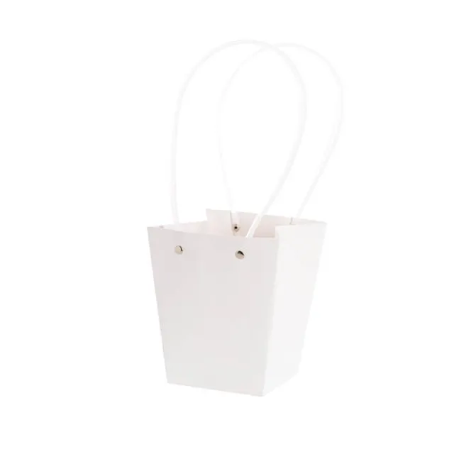 Flower Carry Bag Kraft White Medium Pk5 (12x17x20cmH)