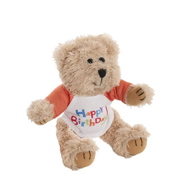 Teddy Bear Message Happy Birthday Orange T Shirt (20cmH)