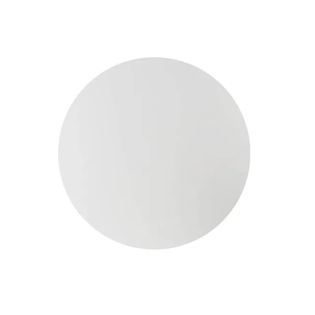 Frosted Acrylic Plates Pack 2 Clear (30cmDx0.03cmH)