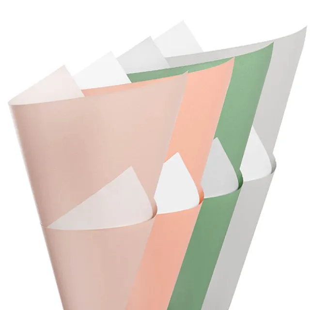 Kraft Paper Duet 80gsm Sampler Pack 100 (50x70cm)