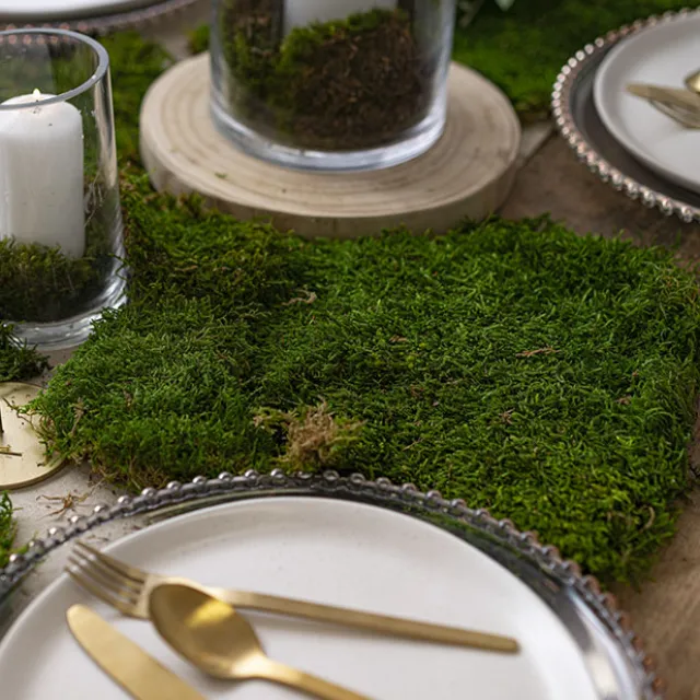 Premium Preserved Flat Moss Sheet 500g Box Green