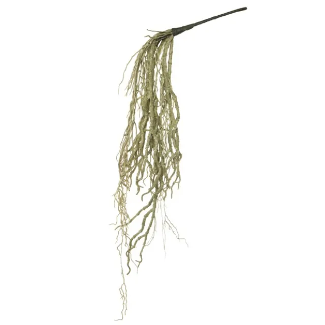 Hanging Orchid Roots Bunch Grey (52cmH)