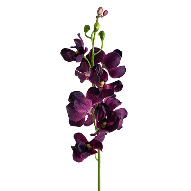 Mokara Orchid Spray Purple (49cmH)