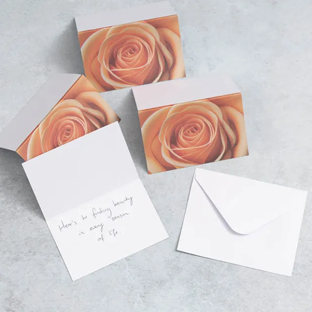 Gallery Gift Card & Envelope Apricot Rose Pk25 (10x6.5cmH)
