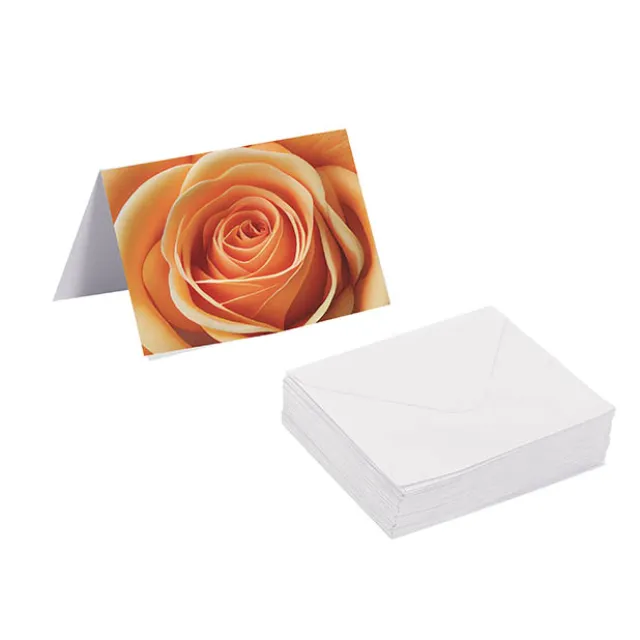 Gallery Gift Card & Envelope Apricot Rose Pk25 (10x6.5cmH)