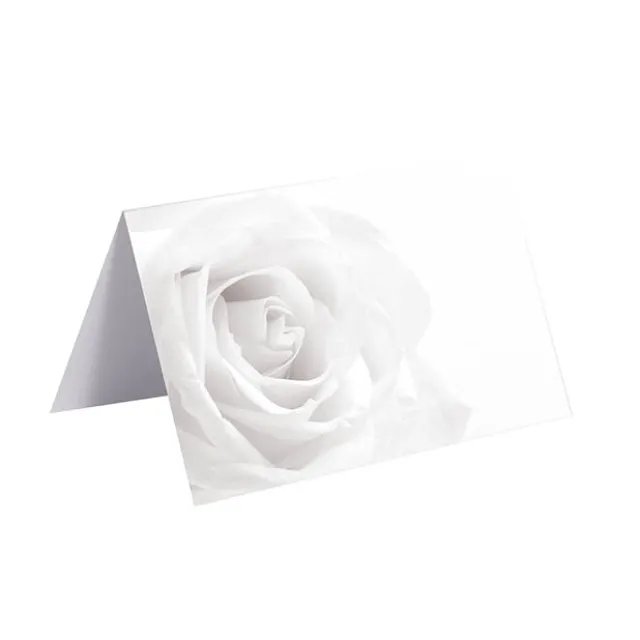 Gallery Gift Card & Envelope White Rose Pk25 (10x6.5cmH)