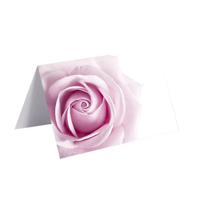 Gallery Gift Card & Envelope Pink Rose Pk25 (10x6.5cmH)