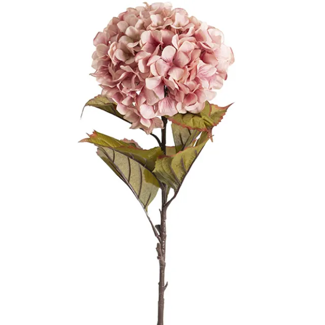 Princess Hydrangea Stem Blush Pink (106cmH)