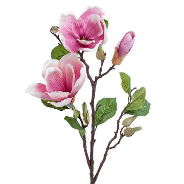 Magnolia Open Flower Spray with Bud Mauve (71cmH)