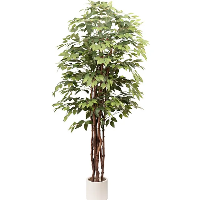 Giant Artificial Sakaki Tree Potted Green (210cmH)