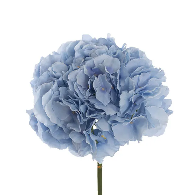 Giant Hydrangea Stem Sky Blue (25cmDx54cmH)