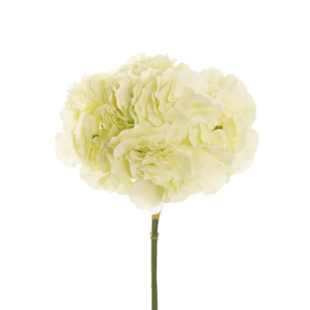 Giant Hydrangea Stem Soft Green (25cmDx54cmH)