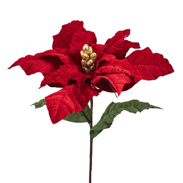 Giant Poinsettia Stem Red (80cmDx110cmH)
