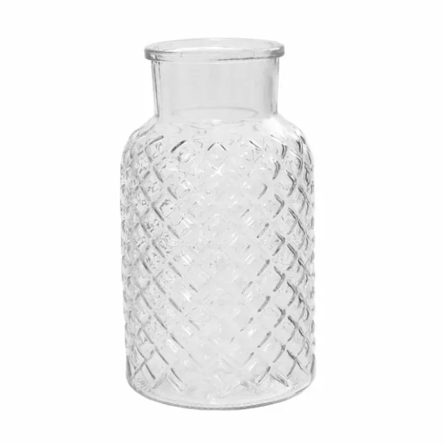 Glass Ann Bottle Vase Large Clear (14.5x25.5cmH)