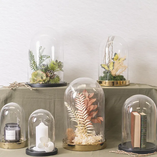 Glass Cloche Dome Terrarium Black MDF Base (23.5Dx30cmH)