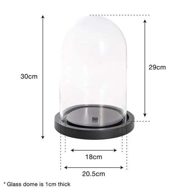 Glass Cloche Dome Terrarium Black MDF Base (23.5Dx30cmH)
