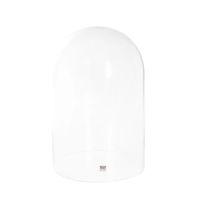 Glass Cloche Dome Terrarium Black MDF Base (23.5Dx30cmH)