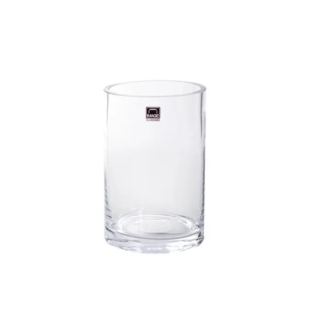 Glass Cylinder Vase Clear (10Dx15cmH)