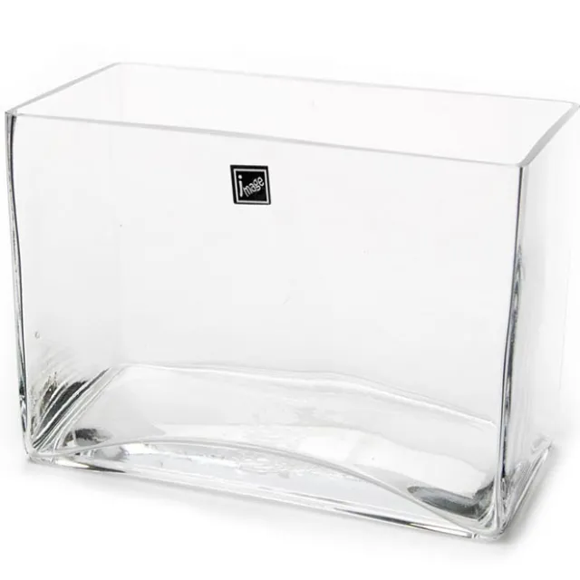 Glass Rectangle Vase Clear (20x10x15cmH)