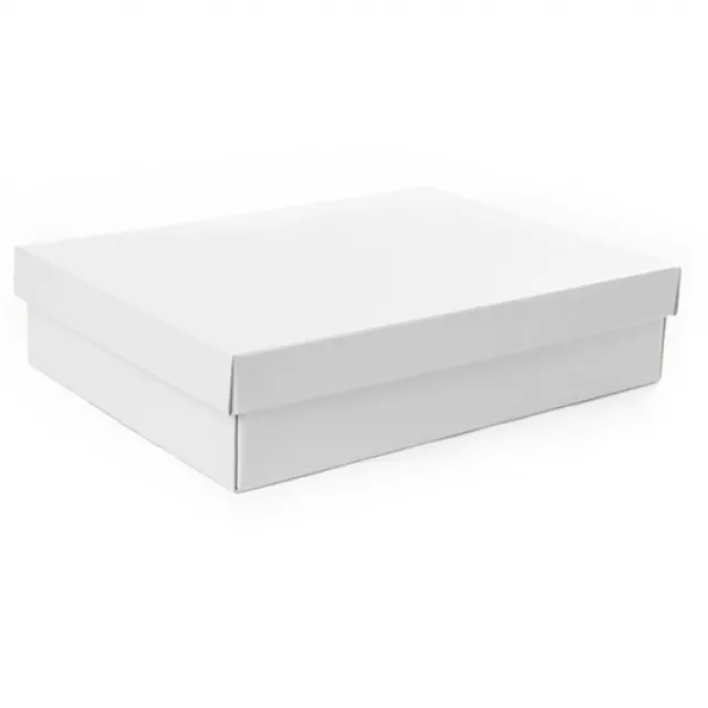 Gourmet Box Rectangle Large White (40x30x9cmH)