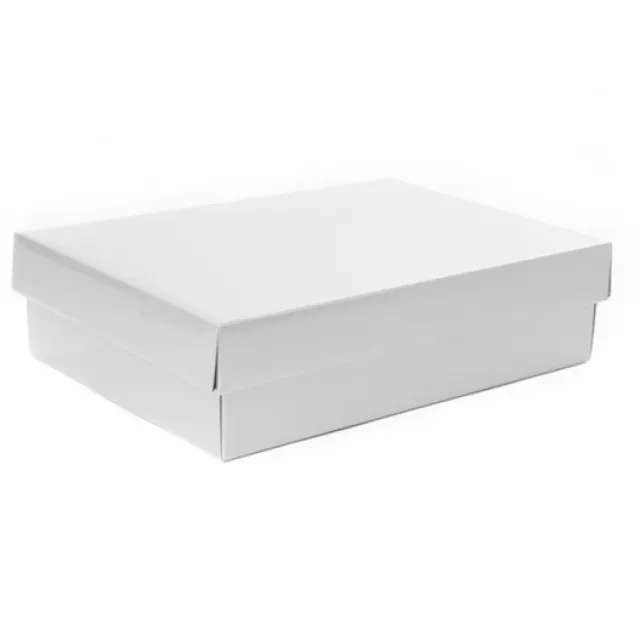 Gourmet Box Rectangle Small White (33x23x9cmH)