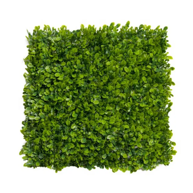 Greenery Wall UV Treated Artificial Boxwood Green (50x50cm)
