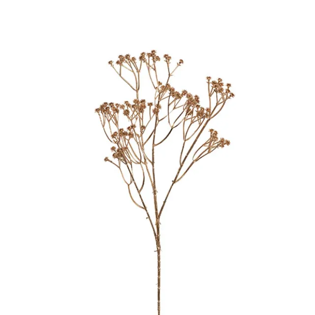Gypsophila Baby's Breath Spray Gold (62cmH)