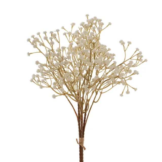Gypsophila Baby's Breath Bunch x 3 Champagne (62cmH)