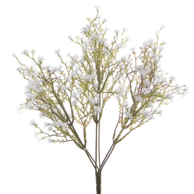 Gypsophila Baby's Breath Bunch White (30cmH)