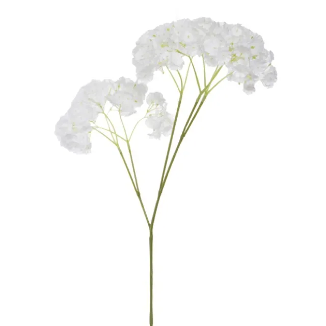 Gypsophila Baby's Breath Spray White (70cmH)