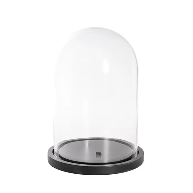Glass Cloche Dome Terrarium Black MDF Base (23.5Dx30cmH)