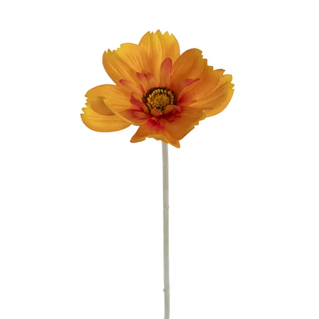 Queen Cosmos Stem Orange Yellow (12cmDx56cmH)