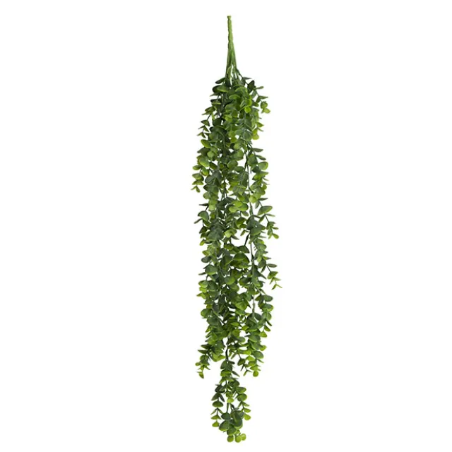 Hanging Plants Eucalyptus Bush Green (80cmH)