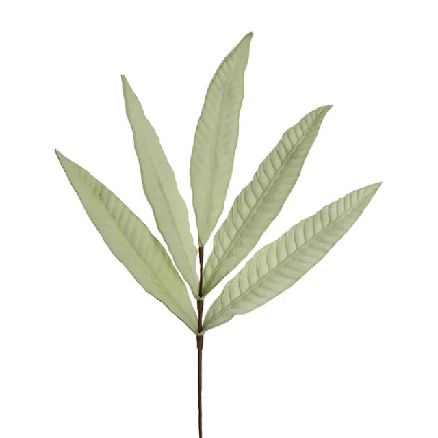 Hart's Tongue Fern Leaf Spray Ombre Green (80cmH)