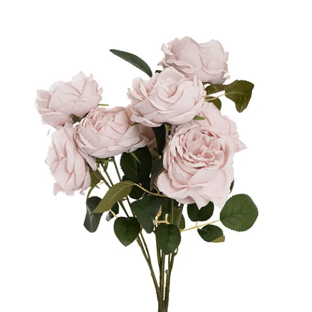 Cabbage Rose x 10 Heads Bouquet Blush Pink (9cmDx45cmH)