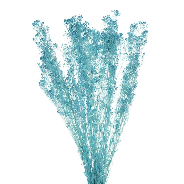 Preserved Dried Baby's Breath Bunch Soft Blue (57cmH)
