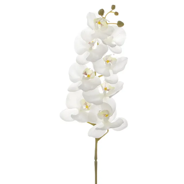 Phalaenopsis Orchid Real Touch 8 Flowers White (97cmH)