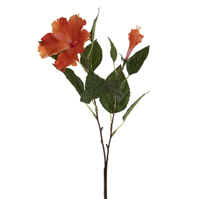 Hibiscus Flower x 2 Head Spray Peachy Orange (11cmDx61cmH)
