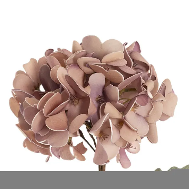 Hydrangea Kate Large Stem Mauve (70cmH)