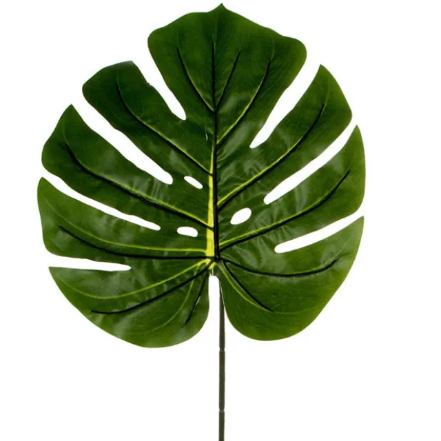 Philo Split Leaf Dark Green (100cmH)