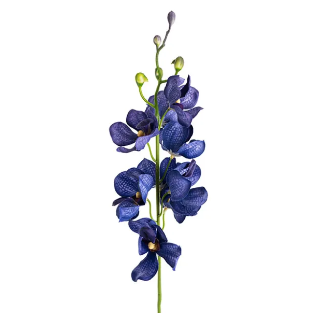 Mokara Orchid Spray French Blue (49cmH)