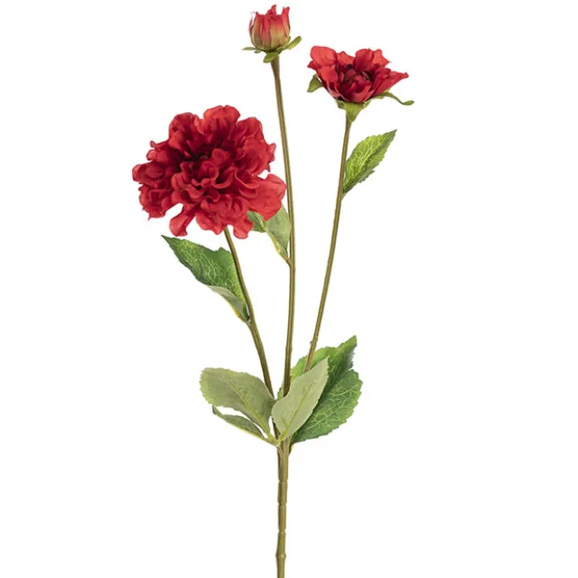Barla Zinnia Spray Red (67cmH)