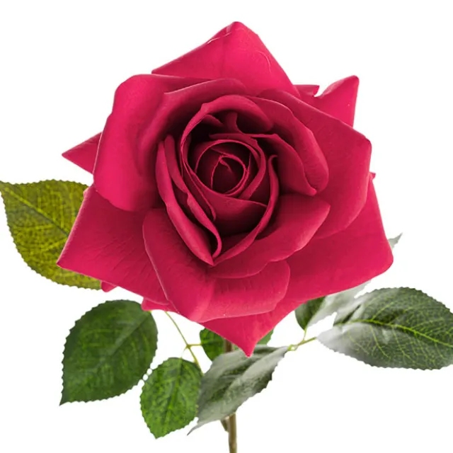 Bella Real Touch Rose Full Bloom Lge Hot Pink (12cmDx65cmH)