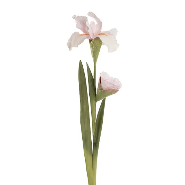 Iris Real Touch Stem Soft Cream Pink (78cmH)